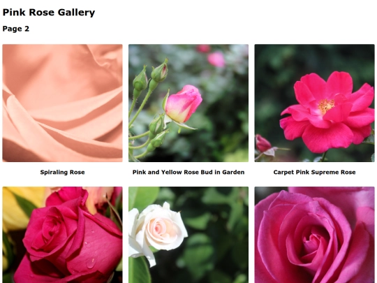 pinkroses2 screenshot