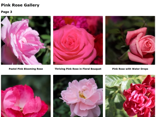 pinkroses3 screenshot