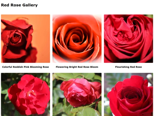 redroses screenshot