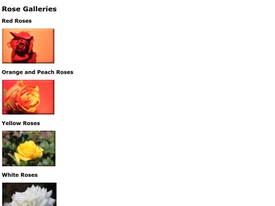 roses screenshot