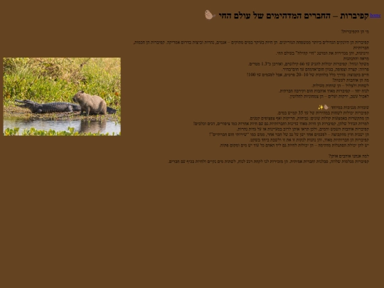 capinfo screenshot