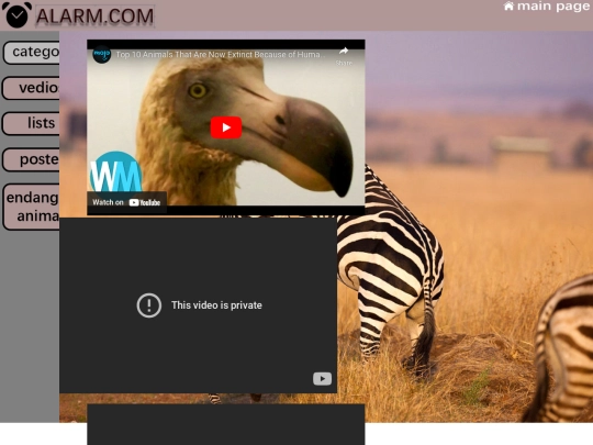 video screenshot