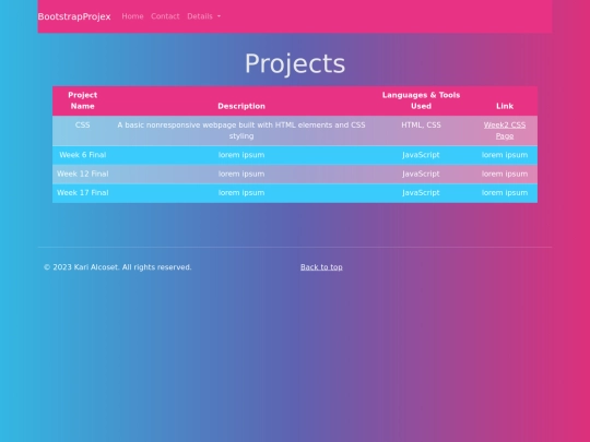 projects screenshot