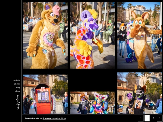 photos/furry/conventions/fc/2020/parade screenshot