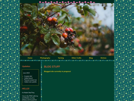 blog/bloghome screenshot
