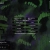 victrof.neocities.org avatar