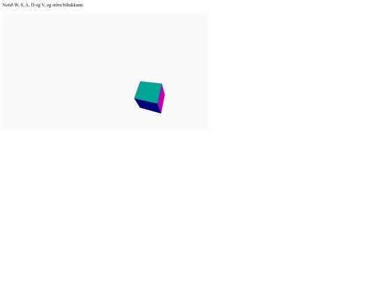 lokaverkefni screenshot