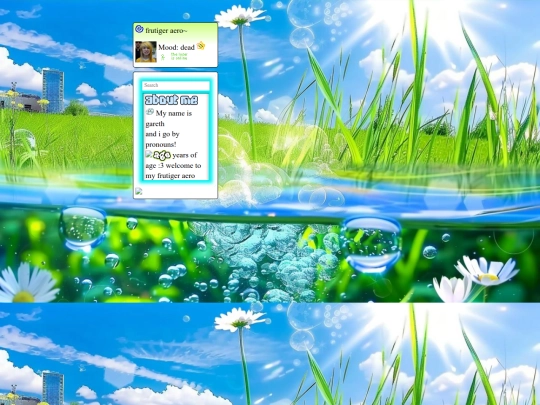 web screenshot