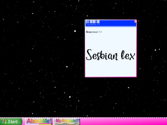 computer screenshot