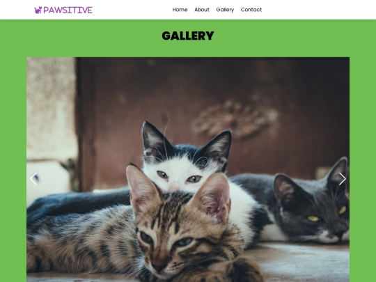 gallery screenshot