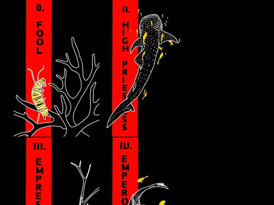 tarot-hosting screenshot