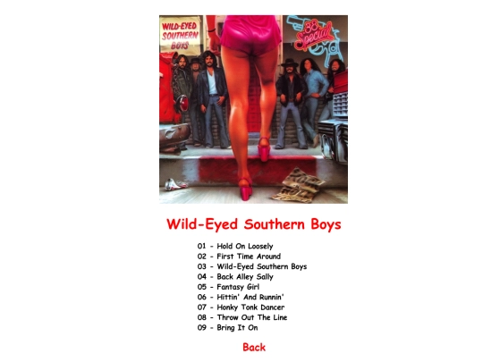 1981-05-15-Wild-EyedSouthernBoys screenshot