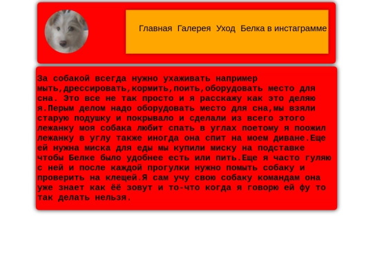 care screenshot