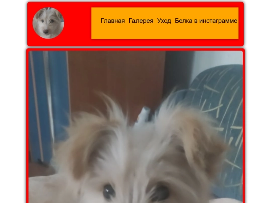 gallery screenshot
