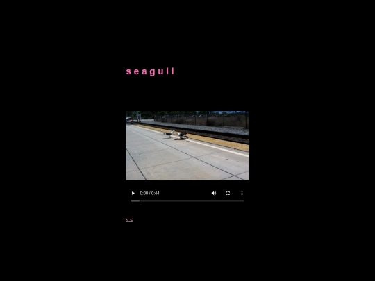 seagull screenshot