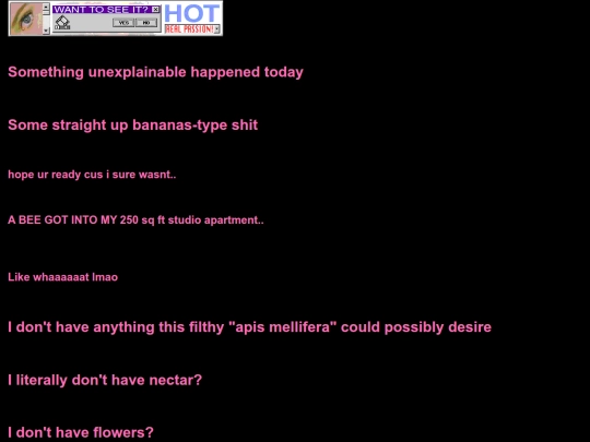 unexplainable screenshot