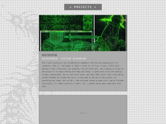 projects screenshot