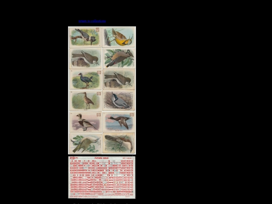 collections/papers screenshot