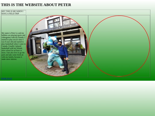 portfolio screenshot