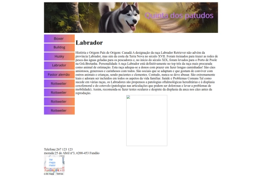 Labrador screenshot