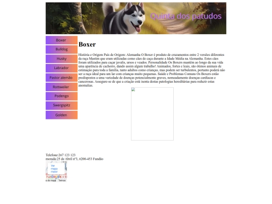 boxer screenshot