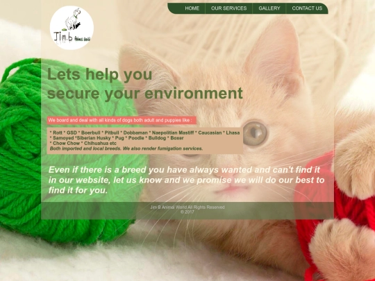 ourservices screenshot