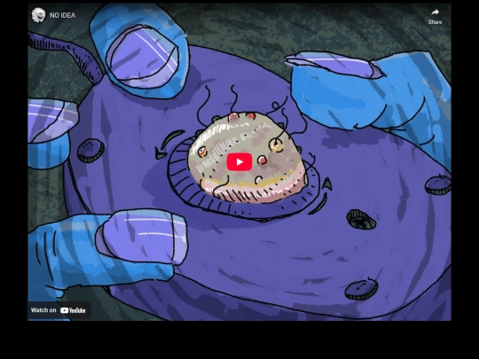 works_pages/video_pages/noidea screenshot