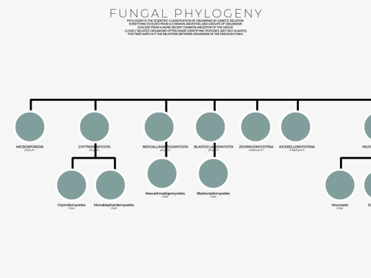 familytree screenshot