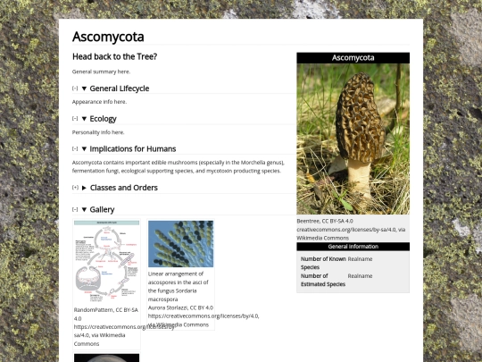 phylo/ascomycota screenshot