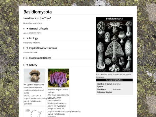 phylo/basidiomycota screenshot
