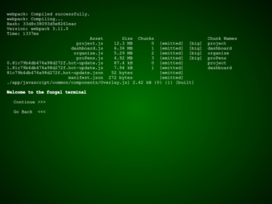 terminal screenshot