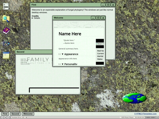 window screenshot