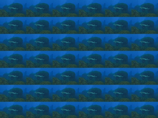 test55 screenshot