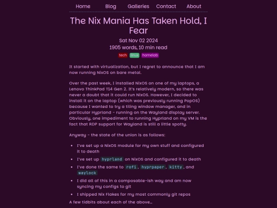 posts/the-nix-mania-has-taken-hold-i-fear screenshot