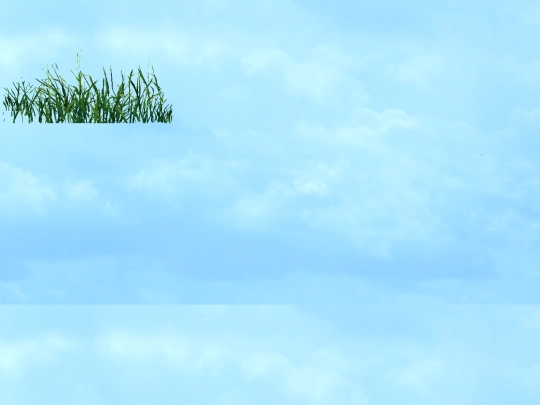 449/grass screenshot