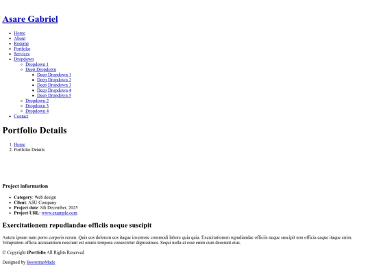 portfolio-details screenshot
