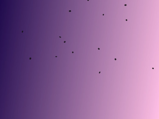 rose screenshot