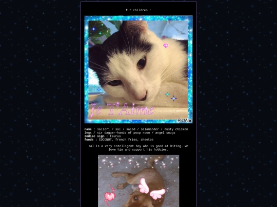 furbbs screenshot