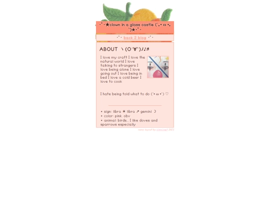 pinkblog/blogabout screenshot