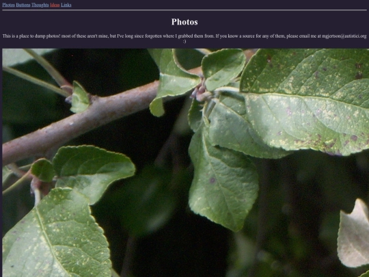 photos screenshot