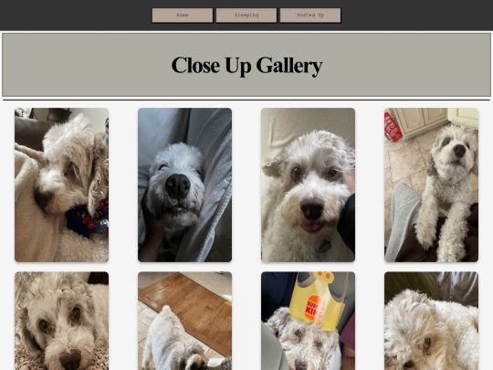 closeup screenshot
