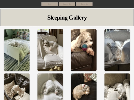 sleeping screenshot