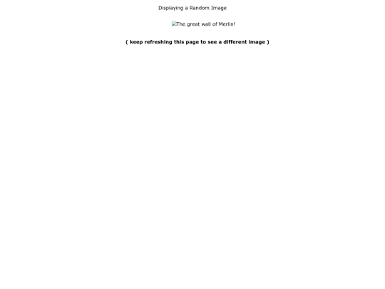 RotateMePls screenshot