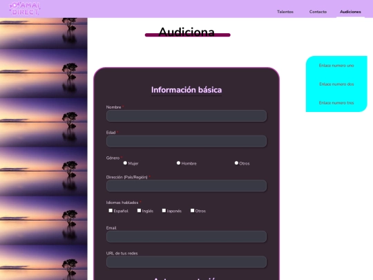 Final/audicion screenshot