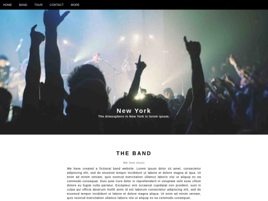 bandmembers/webtemplate screenshot