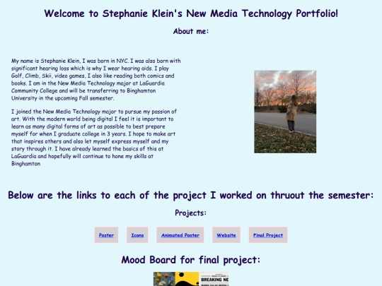 Portfolio screenshot
