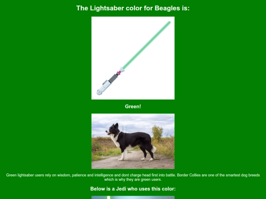 border-collie screenshot