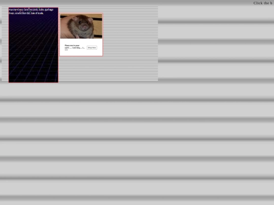 page screenshot