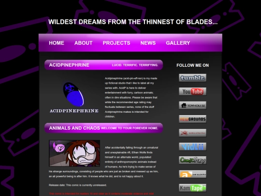 projects screenshot