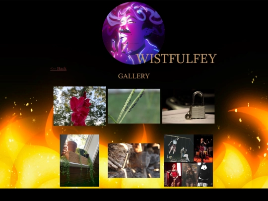 inspiration/gallery screenshot